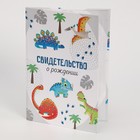 Папка для свидетельства о рождении "Динозавры", 22 х 15 см 9369976