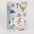 Папка для свидетельства о рождении "Динозавры", 22 х 15 см 9369976