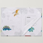 Папка для свидетельства о рождении "Динозавры", 22 х 15 см 9369976