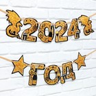 Гирлянда на ленте на Новый Год «Новогодняя коллекция: Черный шик», длина 150 см 9506024