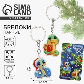Набор брелоков 