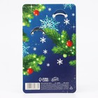 Набор брелоков "Волшебного нового года", 2 шт., 9 х 15 см - фото 809604835