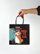 Набор пакетов подарочных новогодних «Так тебе и надо», 6 шт., 22×22×11 см 9612159