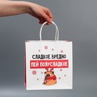 Набор новогодних пакетов «Пусть мечты сбудутся» - фото 61034195