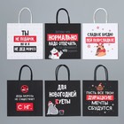 Набор новогодних пакетов «Пусть мечты сбудутся» - фото 61034204