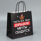 Набор новогодних пакетов «Пусть мечты сбудутся» - фото 61034196