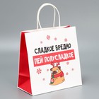 Набор новогодних пакетов «Пусть мечты сбудутся» - фото 61034197