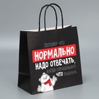 Набор новогодних пакетов «Пусть мечты сбудутся» - фото 61034198