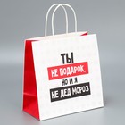 Набор новогодних пакетов «Пусть мечты сбудутся» - фото 61034200