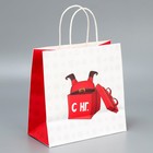 Набор новогодних пакетов «Пусть мечты сбудутся» - фото 61034201