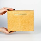 Набор пакетов—коробок «крафтовых», 23 × 18 × 11 см 9757991