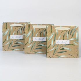 Набор пакетов крафтовых квадратный Present, 22 × 22 × 11 см