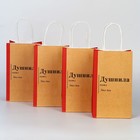Набор пакетов подарочных крафтовых «Душнила», 12 × 21 × 9 см - фото 10693733