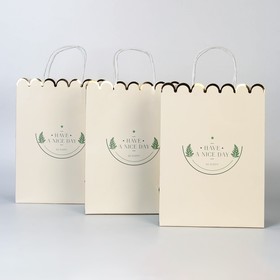 Набор пакетов подарочных крафтовых «Nice day», 23 × 30 × 12 см