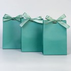 Набор пакетов подарочных с лентой «Тиффани», 13 × 19 × 9 см - фото 10693769