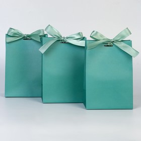 Набор пакетов подарочных с лентой «Тиффани», 13 × 19 × 9 см