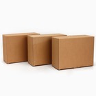 Набор  коробок , 3 шт,  30 × 23 × 12 см - фото 10694047