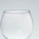 Набор бокалов для вина Red wine glass set, стеклянный, 250 мл, 2 шт - фото 4386285