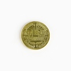 Монета «МВД России», d = 2,2 см - Фото 4