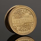 Монета «Незаменимому бухгалтеру», d = 2,2 см - фото 319754628
