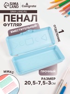 Пенал - футляр Calligrata «Прованс», 90×210×40 мм, непрозрачный, пластиковый, МИКС - Фото 1