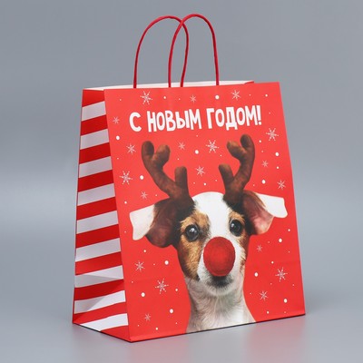 Пакет подарочный новогодний крафтовый «С Новым годом», 28×32×15 см