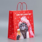 Пакет подарочный крафтовый «Блистай», 28 × 32 × 15 см - Фото 3