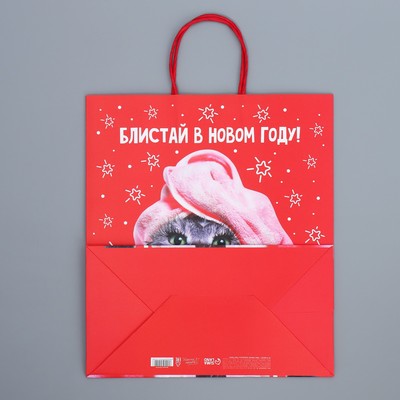 Пакет подарочный новогодний крафтовый «Блистай», 28×32×15 см