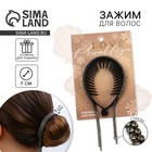 Заколка для волос со стразами «Present for you», 12.5 х 7 х 1.5 см - Фото 1