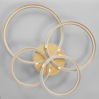 УЦЕНКА Светильник «Мейри» 4xLED 204 Вт золото-серебро 80×60×18 см BayerLux 9877951