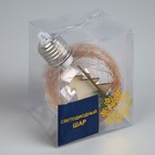 Ёлочный шар «Ёлочки», батарейки, 1 LED, свечение тёплое белое - Фото 4