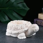 Фигурное кашпо "Черепаха" слоновая кость, 14х8х10см - Фото 2