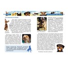 Детская энциклопедия «Собаки» - фото 3788126