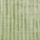 Плед Вертикаль 200х220см, трава, велсофт 280г/м, полиэстер 100% - фото 36764515