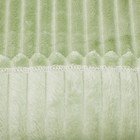 Плед Вертикаль 200х220см, трава, велсофт 280г/м, полиэстер 100% - фото 36764516