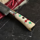 Нож Пчак Шархон - средний - Фото 2