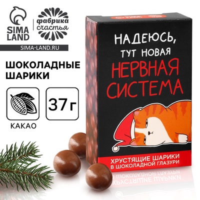Шоколадные шарики «Нервная система» в коробке, 37 г.