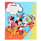 Тетрадь в клетку 24 листа, 5 видов МИКС, обложка мелованная бумага, «Минни Маус» - Фото 6