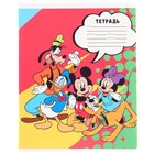 Тетрадь в клетку 24 листа, 5 видов МИКС, обложка мелованная бумага, «Минни Маус» - Фото 8