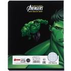 Тетрадь в клетку 24 листа, 5 видов МИКС, частичный уф-лак, обложка мелованный картон, «Мстители» - Фото 13