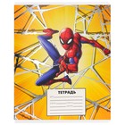 Тетрадь в линейку 24 листа, 5 видов МИКС, тиснение, обложка мелованный картон, «Человек-паук» - Фото 11