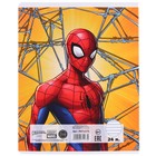 Тетрадь в линейку 24 листа, 5 видов МИКС, тиснение, обложка мелованный картон, «Человек-паук» - Фото 12