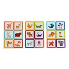 Развивающий набор «Ходы и направления. По следам животных», в пакете - фото 24413743