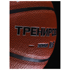 Баскетбольный мяч MINSA, тренировочный, клееный, 8 панелей, р. 6, PU, бутиловая камера - Фото 6