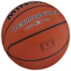 Баскетбольный мяч MINSA, тренировочный, PU, клееный, 8 панелей, р. 7 - фото 3610017