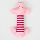 Игрушка для собак мягкая «Хрюшка», 24 см - Фото 2