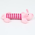 Игрушка для собак мягкая «Хрюшка», 24 см - Фото 4