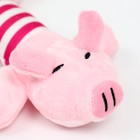 Игрушка для собак мягкая «Хрюшка», 24 см - Фото 5