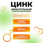 Цинк жевательный с натуральной с клюквой, 100 таблеток по 500 мг - Фото 2