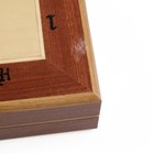 УЦЕНКА Шахматы «Бизант», 58.5×58.5 см, король h=14 см - Фото 11
